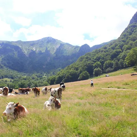 Maison De Varennes * Chambon-sur-Lac